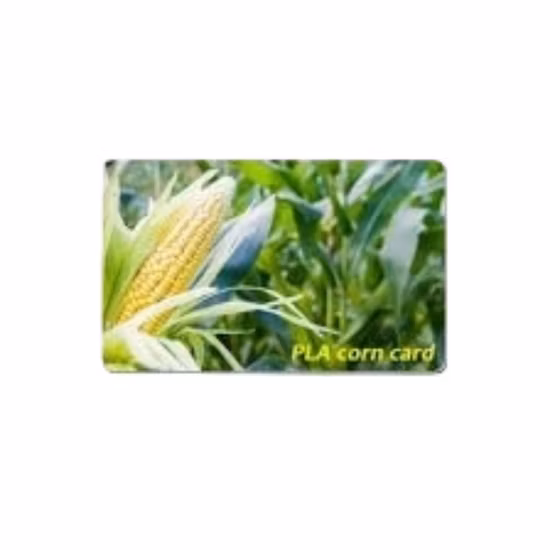 Programmeble Lf/UHF Dual Frequency RFID Card for Access Control System