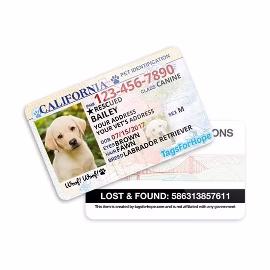 125kHz Lf Proximity ID Card Cootactless Em4200 Tk4100 T5577 PVC RFID Card